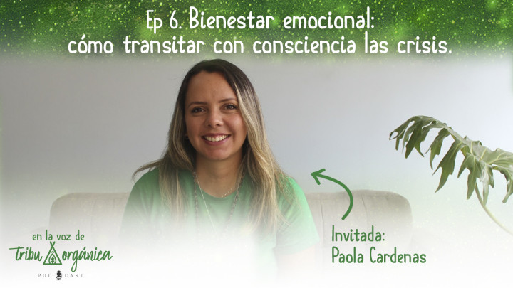 Bienestar Emocional: Como transitar con consciencia la crisis